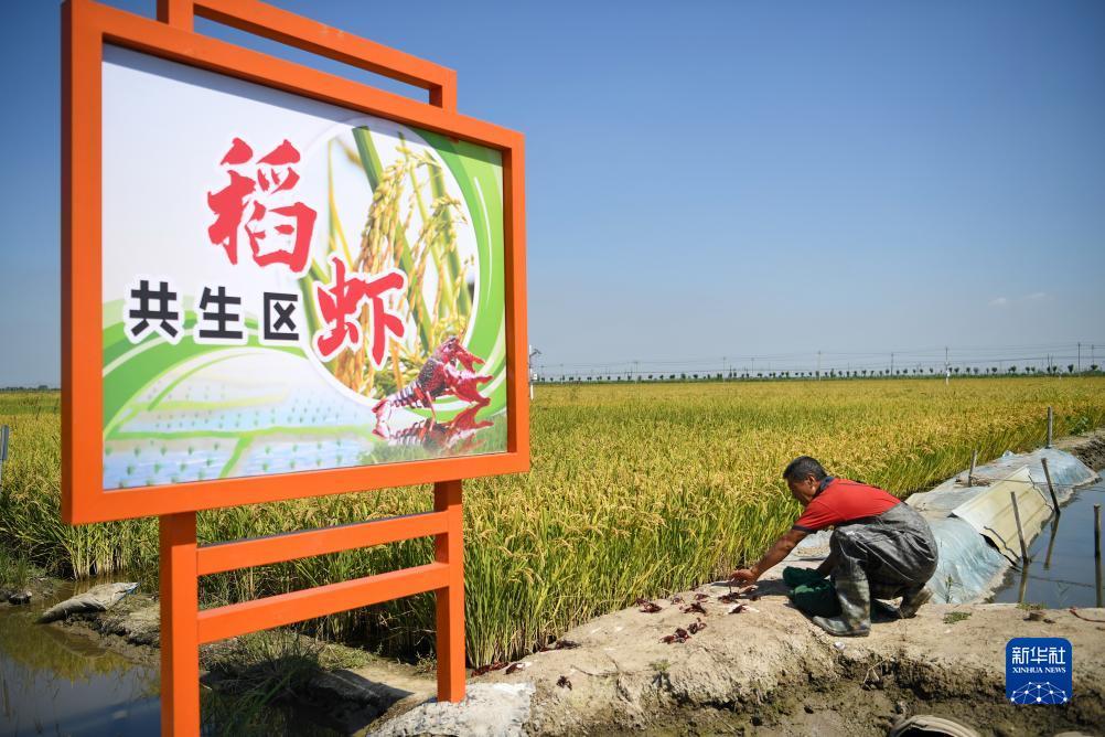 押注软件